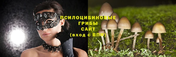 a pvp Армянск