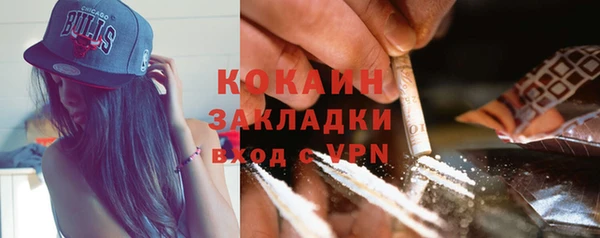 крисы Аркадак