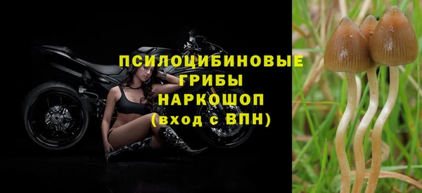a pvp Армянск