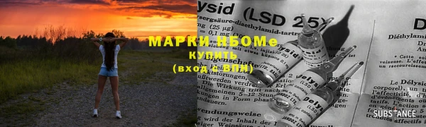 крисы Аркадак