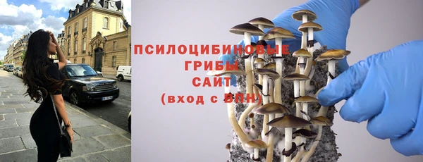 МДПВ Алексеевка