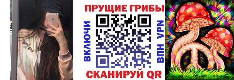 Галлюциногенные грибы Psilocybe  Нижний Ломов 